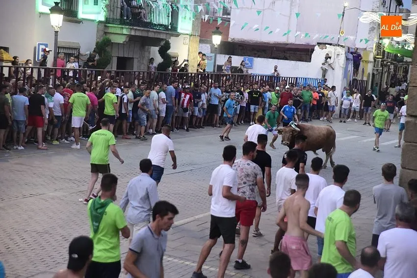 toro en Moraleja- fiestas san buenaventura moraleja