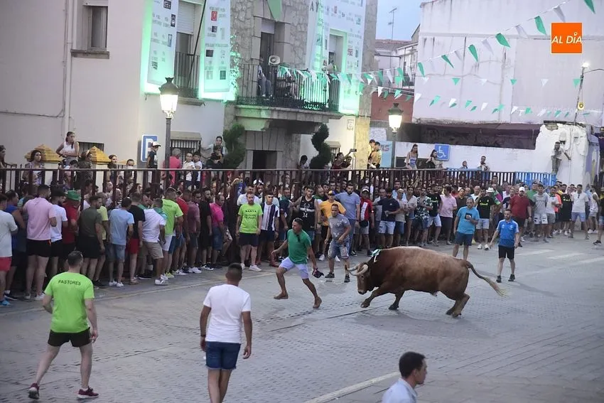 toro en Moraleja- fiestas san buenaventura moraleja