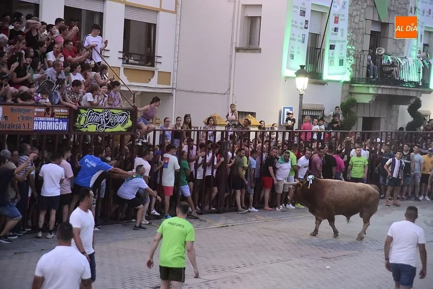 toro en Moraleja- fiestas san buenaventura moraleja