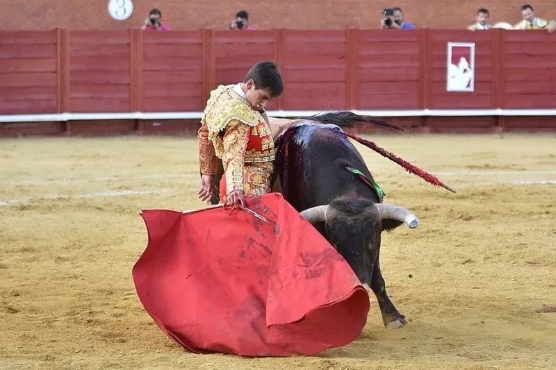Actuaciones de Ismael Martín y Jesús de la Calzada. Fotos: @CircuitoNovilladasCyL  