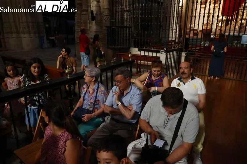 Concierto del organista Luis Dalda en la Catedral | Fotos: David Sañudo 