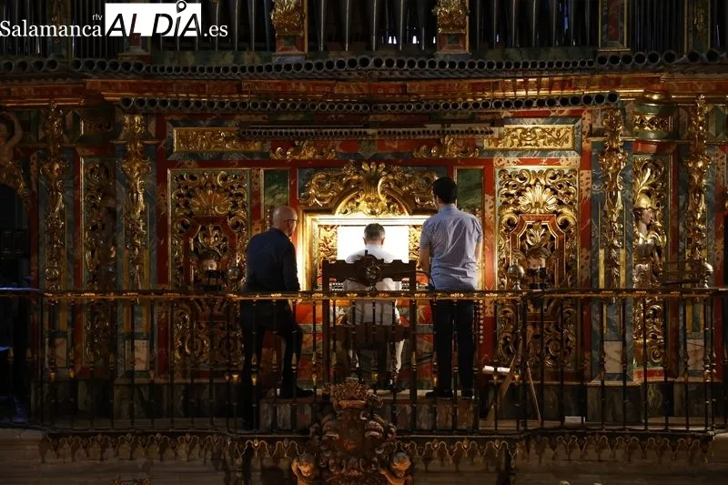 Concierto del organista Luis Dalda en la Catedral | Fotos: David Sañudo 