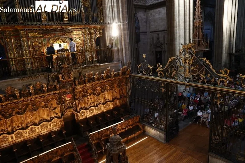 Concierto del organista Luis Dalda en la Catedral | Fotos: David Sañudo 