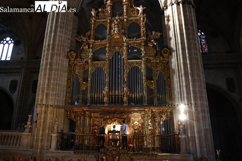 Concierto del organista Luis Dalda en la Catedral | Fotos: David Sañudo 