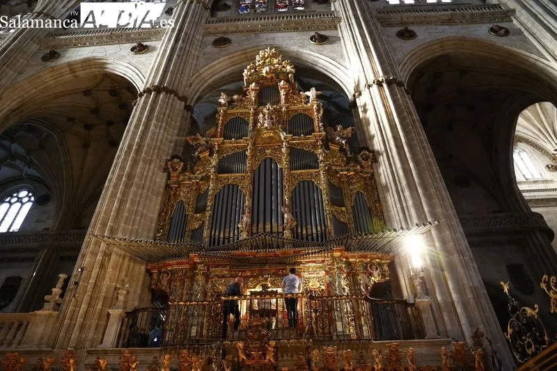 Concierto del organista Luis Dalda en la Catedral | Fotos: David Sañudo 