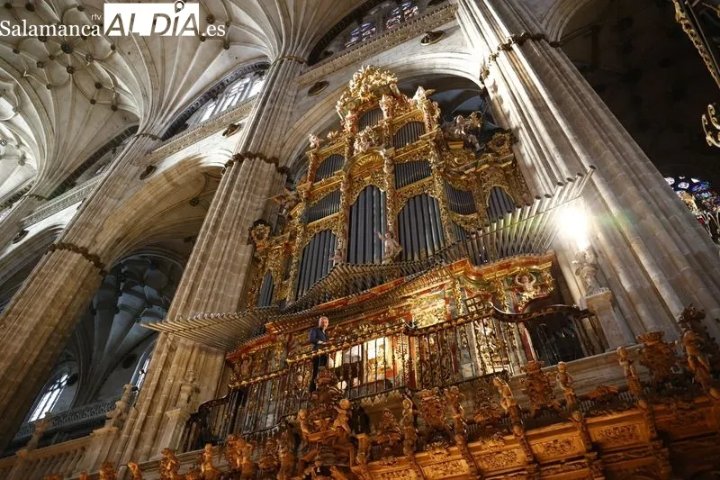 Concierto del organista Luis Dalda en la Catedral | Fotos: David Sañudo 