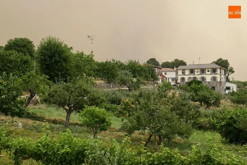 EL fuego estuvo a punto de entrar en el casco urbano de Monsagro/ Fotos: Adrián M.Pastor