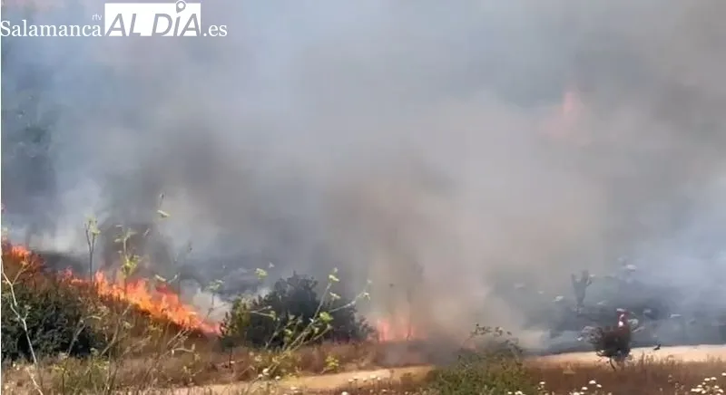 Foto 5 - El barrio del Zurgu&eacute;n sufre un incendio con columnas de humo visibles a gran distancia