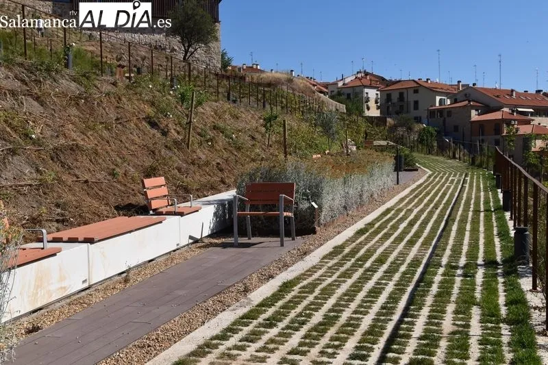 Imágenes del parque en las laderas del Cerro de San Vicente