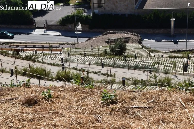 Imágenes del parque en las laderas del Cerro de San Vicente