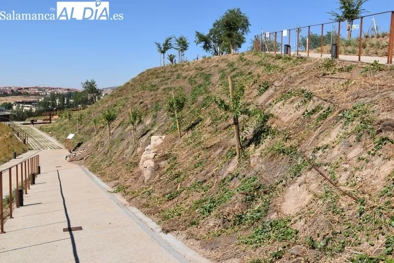 Imágenes del parque en las laderas del Cerro de San Vicente
