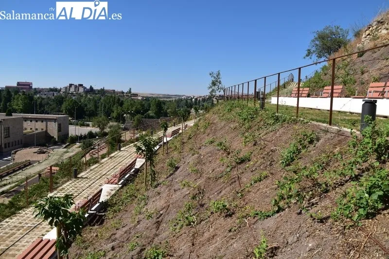 Imágenes del parque en las laderas del Cerro de San Vicente