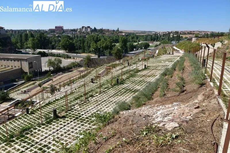 Imágenes del parque en las laderas del Cerro de San Vicente