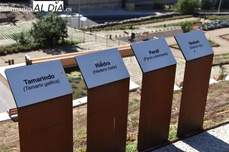 Imágenes del parque en las laderas del Cerro de San Vicente