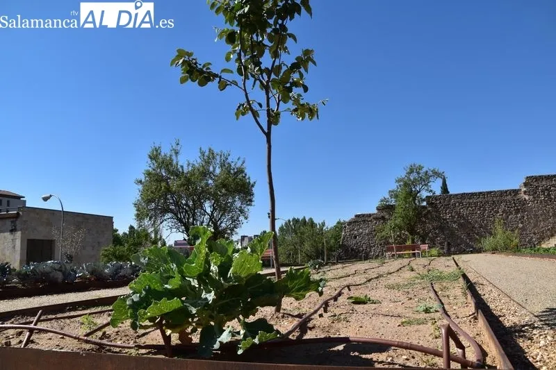 Imágenes del parque en las laderas del Cerro de San Vicente