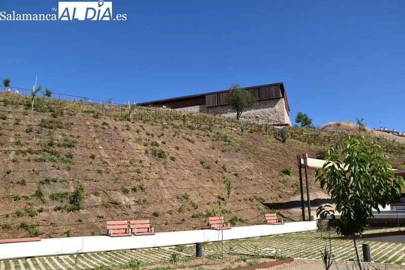 Imágenes del parque en las laderas del Cerro de San Vicente