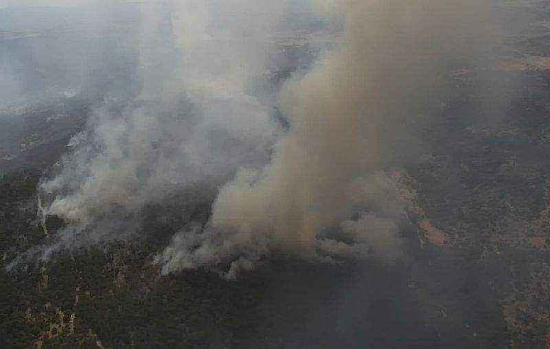 Imagen del incendio de Cebreros, en Ávila. Foto: @naturalezacyl