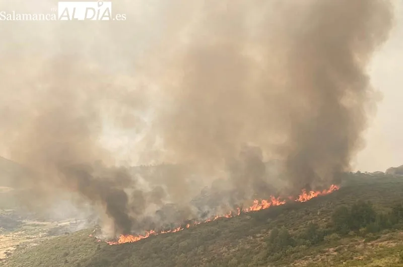 Foto 2 - Los equipos de extinci&oacute;n siguen trabajando en el incendio de Candelario