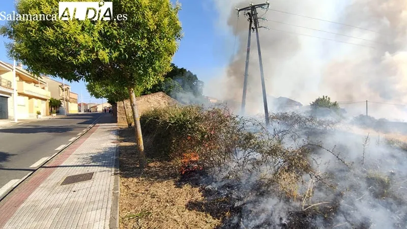 Foto 5 - Los bomberos de Guijuelo sofocan un incendio en la zona periurbana