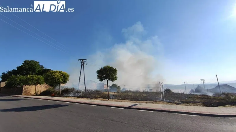 Foto 3 - Los bomberos de Guijuelo sofocan un incendio en la zona periurbana
