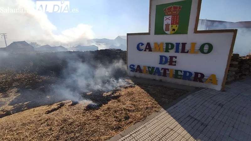 Foto 6 - Los bomberos de Guijuelo sofocan un incendio en la zona periurbana