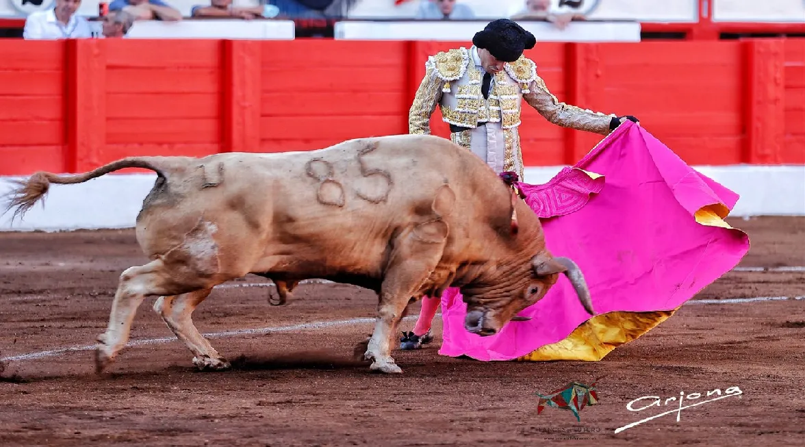 Alejandro Talavante, Pablo Aguado y Manuel Diosleguarde, en la primera de la Feria de Santiago de Santander. Fotos: Cultoro