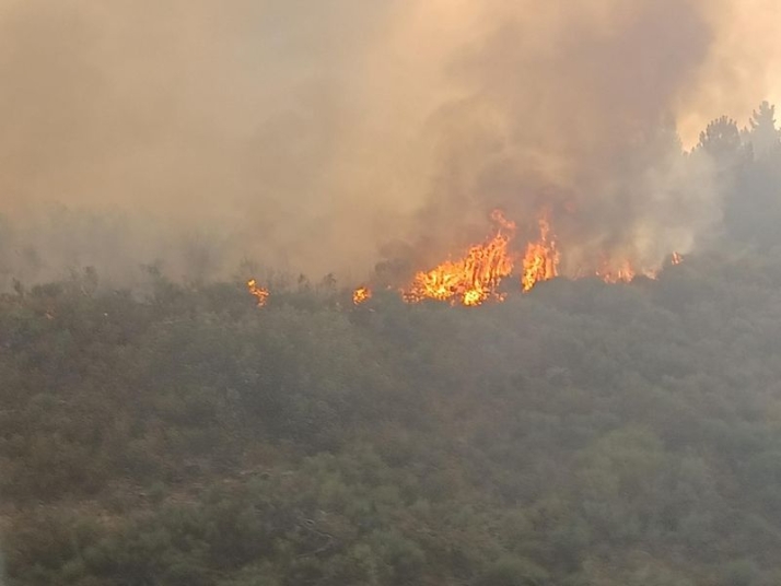 Importante incendio forestal entre Villanueva del Conde y Sequeros