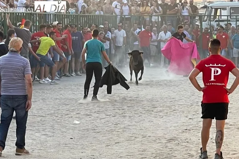Cientos de aficionados disfrutaban con el V Toro de Cajòn en Poveda de las Cintas