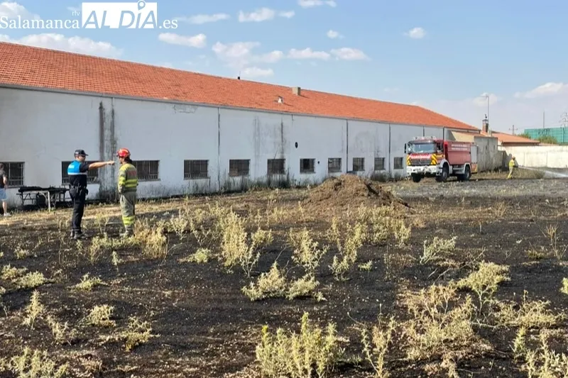 Los bomberos de Peñaranda sofocaban un incendio declarado en una parcela del polígono industrial
