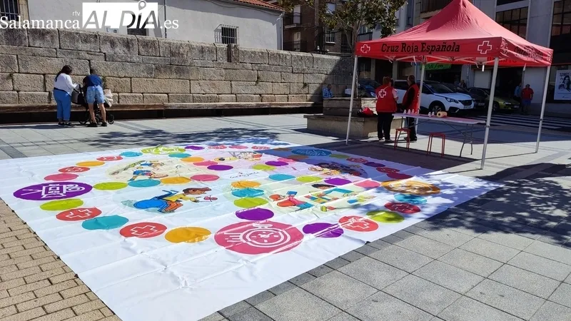 Día de la Banderita en Vitigudino / CORRAL