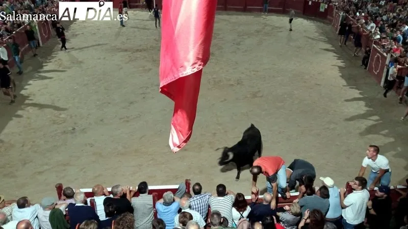 Los dos novillos fueron capeados en la plaza y en la calles del recorrido del encierro