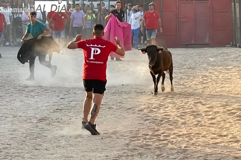 Cientos de aficionados disfrutaban con el V Toro de Cajòn en Poveda de las Cintas