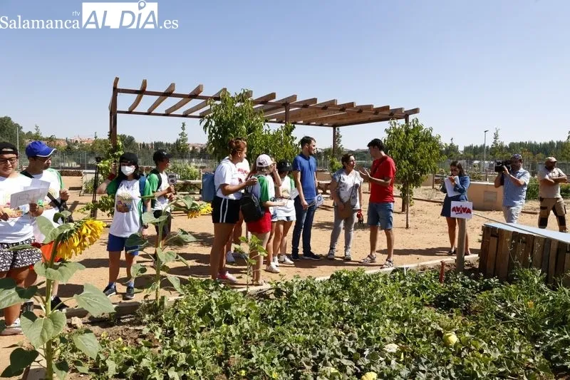 Visita del alcalde de Salamanca a la semicolonia urbana de Aviva 