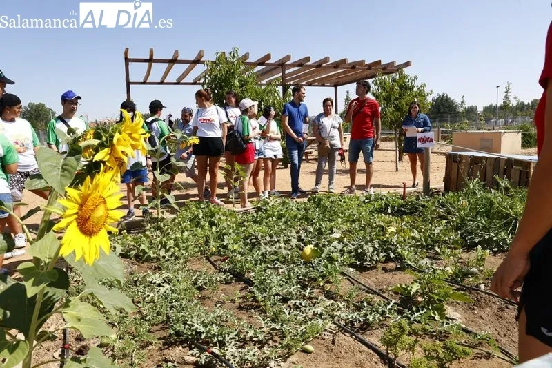 Visita del alcalde de Salamanca a la semicolonia urbana de Aviva 