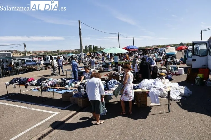 Imágenes del Rastro de La Aldehuela esta mañana de domingo