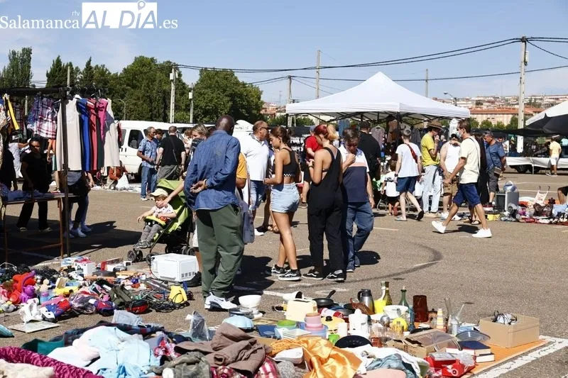 Imágenes del Rastro de La Aldehuela esta mañana de domingo