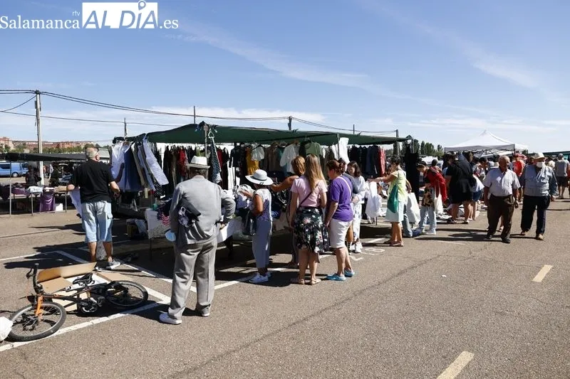 Imágenes del Rastro de La Aldehuela esta mañana de domingo