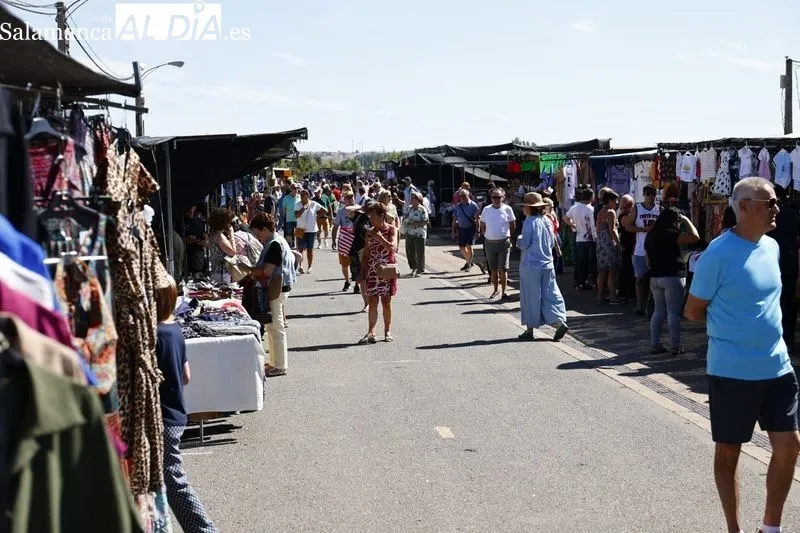 Imágenes del Rastro de La Aldehuela esta mañana de domingo