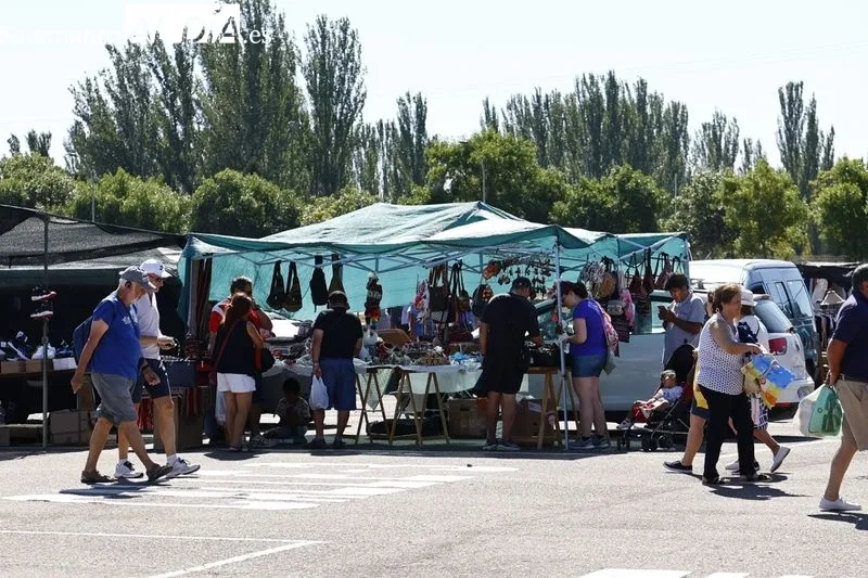 Imágenes del Rastro de La Aldehuela esta mañana de domingo