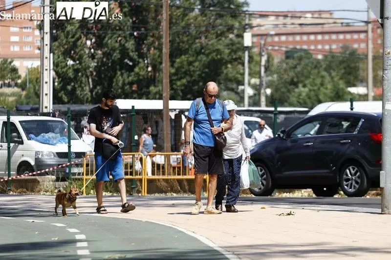 Paseantes y deportistas, esta mañana de domingo en La Aldehuela