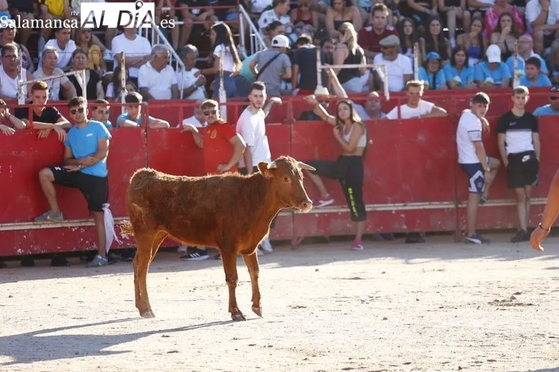 Gran ambiente en la plaza de toros de Carbajosa