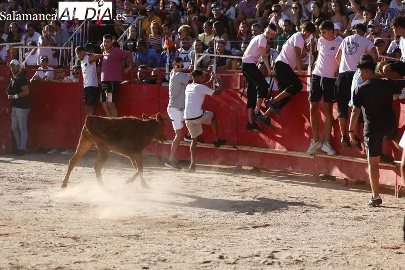 Gran ambiente en la plaza de toros de Carbajosa