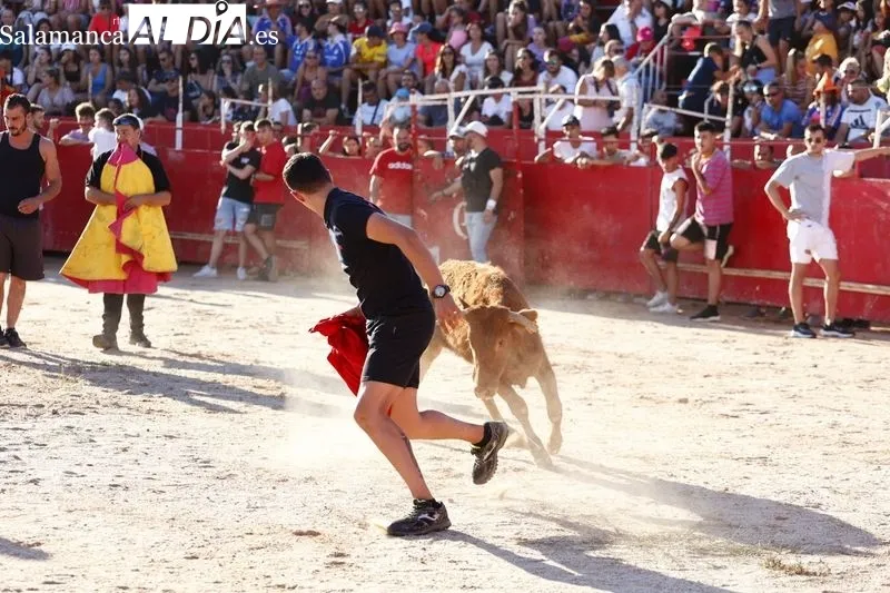 Gran ambiente en la plaza de toros de Carbajosa