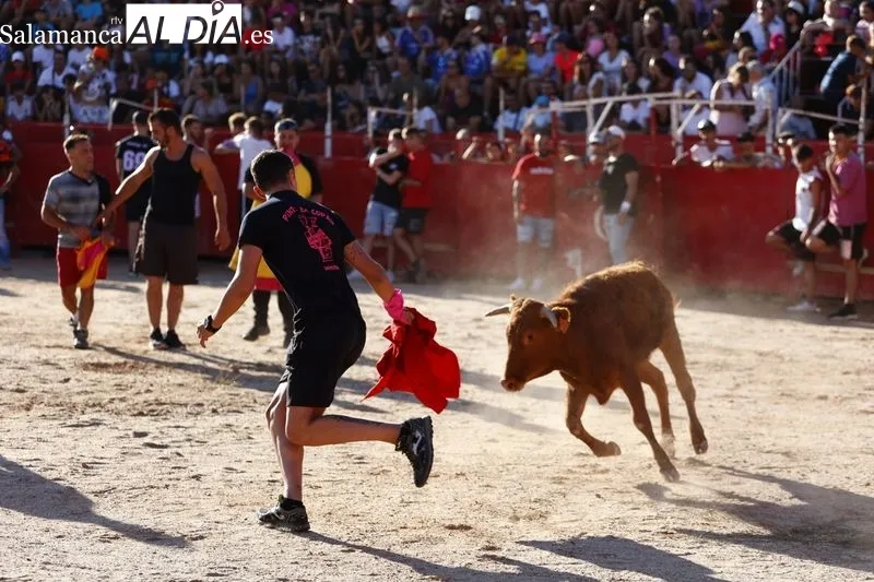 Gran ambiente en la plaza de toros de Carbajosa