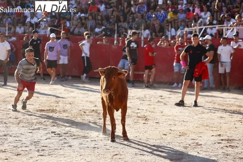 Gran ambiente en la plaza de toros de Carbajosa