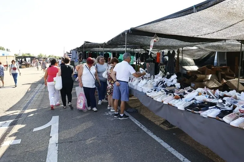 Rastro de La Aldehuela este domingo 