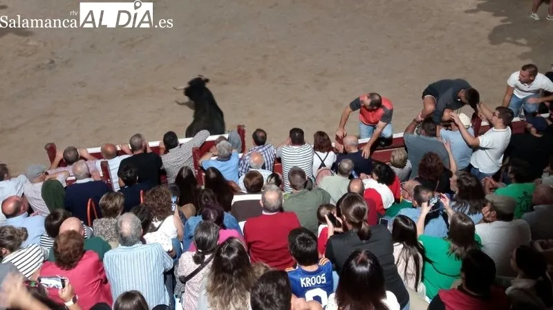Los dos novillos fueron capeados en la plaza y en la calles del recorrido del encierro