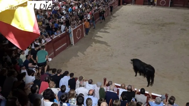 Los dos novillos fueron capeados en la plaza y en la calles del recorrido del encierro