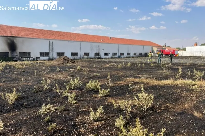 Los bomberos de Peñaranda sofocaban un incendio declarado en una parcela del polígono industrial
