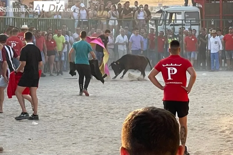 Cientos de aficionados disfrutaban con el V Toro de Cajòn en Poveda de las Cintas